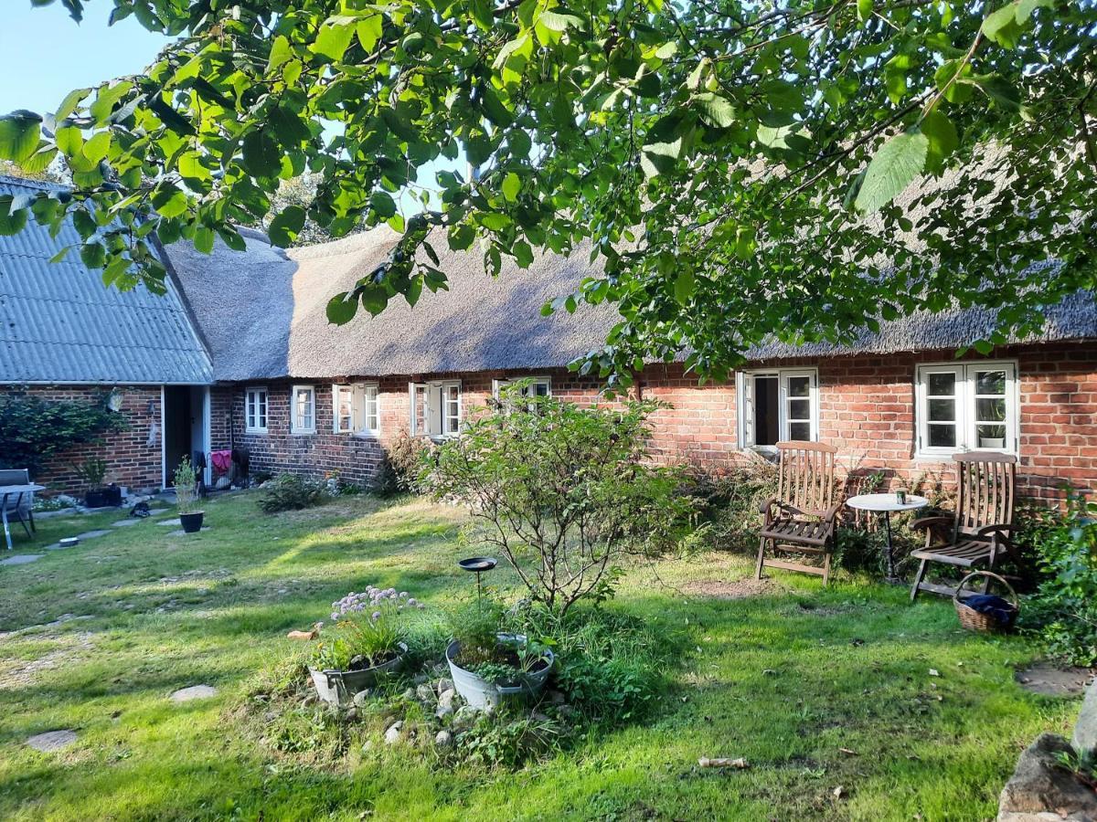 Ringkobing Fjord B&B Skjern ภายนอก รูปภาพ